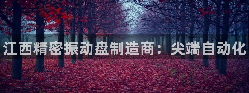 彩神8官网下：江西精密振动盘制造商：尖端自动化