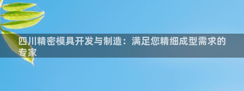彩神VI首页：四川精密模具开发与制造：满足您精细成型需求的
专家