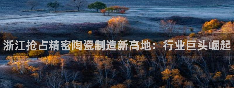 彩神v8下载app：浙江抢占精密陶瓷制造新高地：行业巨头崛起