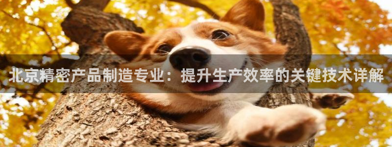 彩神v8是一个什么平台：北京精密产品制造专业：提升生产效率的关键技术详解