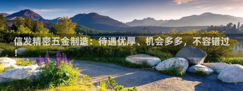彩神数码科技有限公司