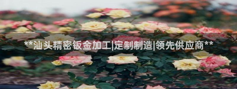 彩神v1官网