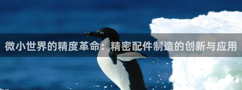 彩神ix官网是哪个公司的