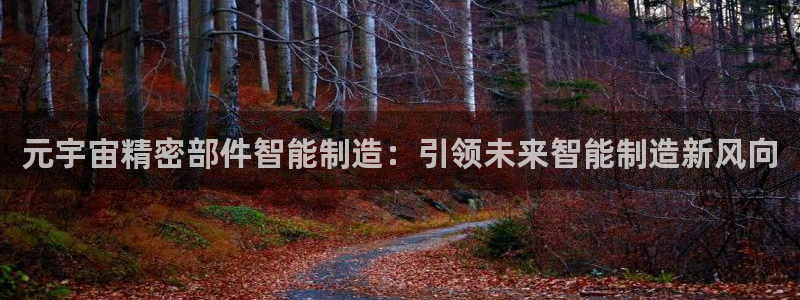 下载彩神乐发V1