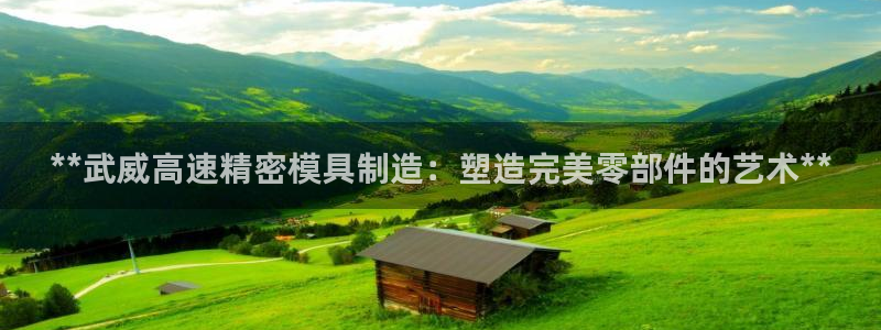 彩神怎么才能赢：**武威高速精密模具制造：塑造完美零部件的艺术**