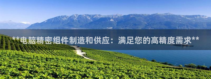 彩神ios下载：**电脑精密组件制造和供应：满足您的高精度需求**
