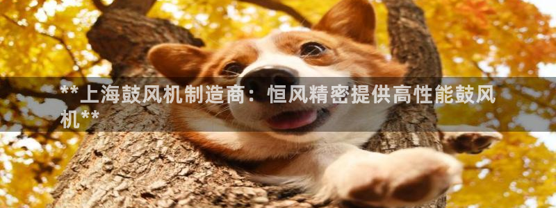 彩神是真的吗：**上海鼓风机制造商：恒风精密提供高性能鼓风
机**