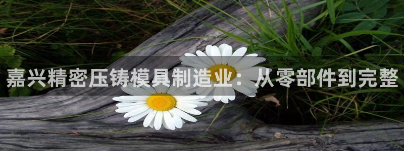 彩神是怎样一个平台：嘉兴精密压铸模具制造业：从零部件到完整