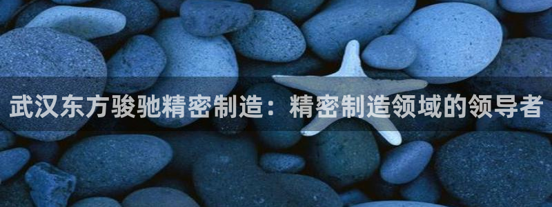 彩神ix能赚钱吗：武汉东方骏驰精密制造：精密制造领域的领导者