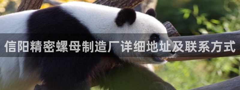 彩神通官方网：信阳精密螺母制造厂详细地址及联系方式