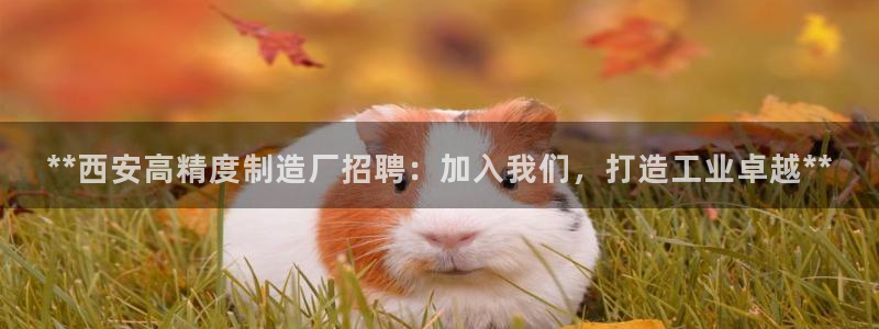 彩神v1破解器：**西安高精度制造厂招聘：加入我们，打造工业卓越**