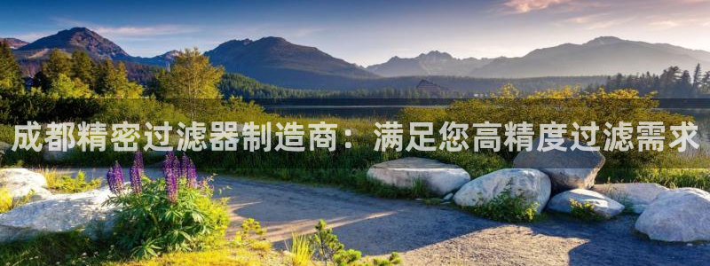彩神旗下有哪些平台可以看：成都精密过滤器制造商：满足您高精度过滤需求