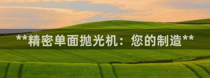 彩神vlll官方网：**精密单面抛光机：您的制造**