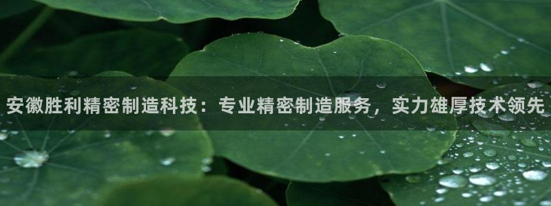 彩神数码科技有限公司：安徽胜利精密制造科技：专业精密制造服务，实力雄厚技术领先
