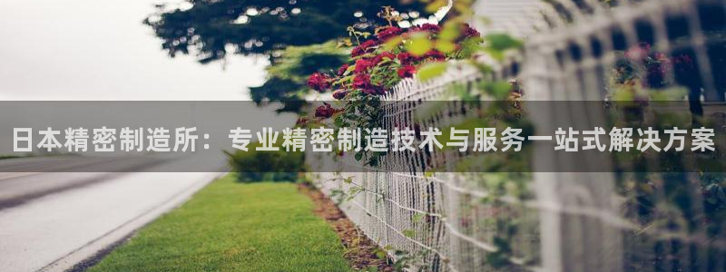 彩神Vll购彩大厅：日本精密制造所：专业精密制造技术与服务一站式解决方案
