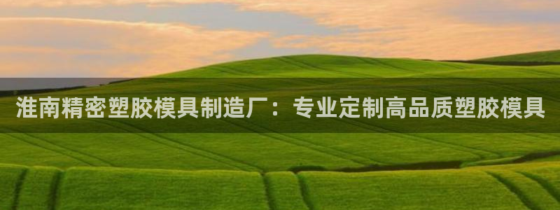 彩神v8购彩大厅登：淮南精密塑胶模具制造厂：专业定制高品质塑胶模具