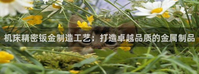 彩神Vii购彩-购彩大厅：机床精密钣金制造工艺：打造卓越品质的金属制品