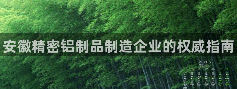 彩神争霸官方下载2017：安徽精密铝制品制造企业的权威指南
