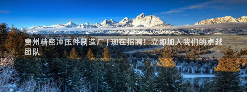 彩神vll官网-最新版app下载：贵州精密冲压件制造厂 | 现在招聘！立即加入我们的卓越
团队