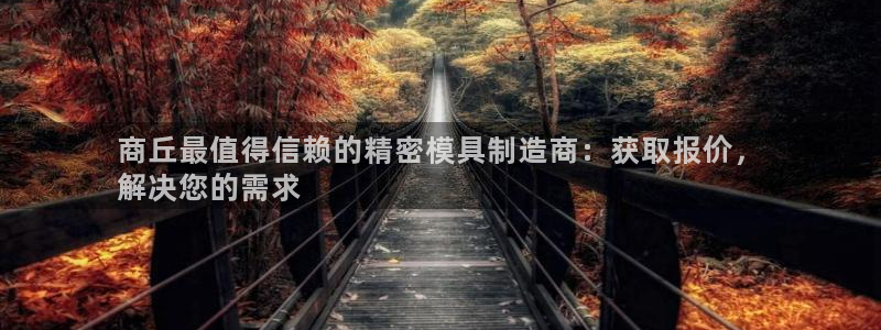 彩神的邀请码是多少：商丘最值得信赖的精密模具制造商：获取报价，
解决您的需求
