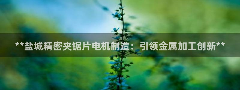 彩神v彩搜狗：**盐城精密夹锯片电机制造：引领金属加工创新**