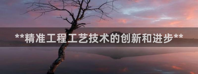 彩神vlll官方网：**精准工程工艺技术的创新和进步**