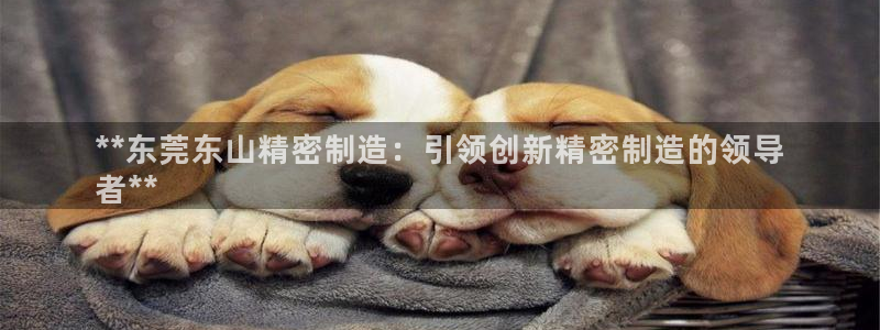 彩神vi官网版：**